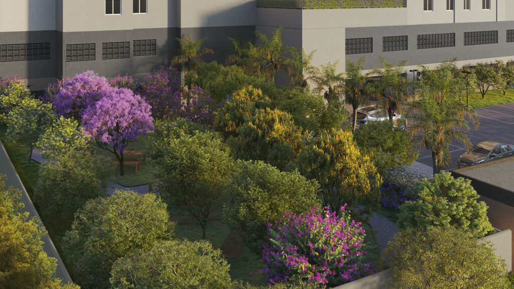 Aerea-bosque-Holistic-Direcional